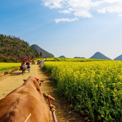 wildsto76945139's profile picture. 好好学习