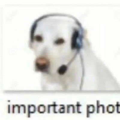 Griosp03's profile picture. .