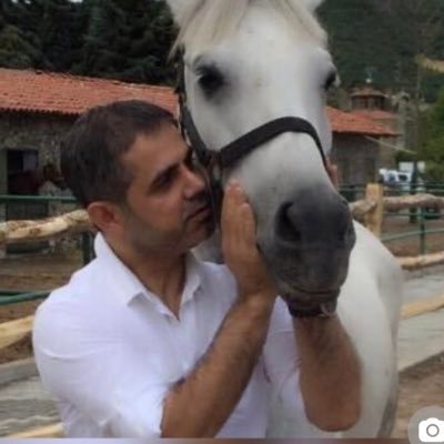 Kaymakam (1992-2007) İçişleri Bakanlığı Mülkiye Başmüfettişi ( 2007-2016)