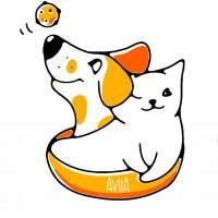 Asociación Protectora de Animales