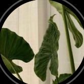 covpq's profile picture. https://t.co/A3Efc5THRM للأجر.