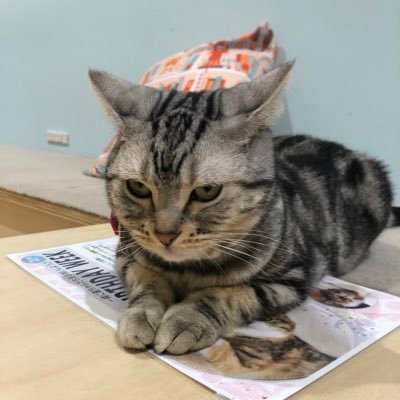 なーさんのプロフィール画像