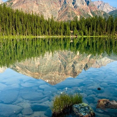TamirAl78208446's profile picture. Tamoo
