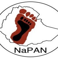 NaPAN is consortium of organizations committed to eliminate skin NTDs as public health problem. It aspires to see Ethiopia free of podoconiosis by 2030.