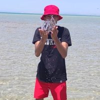 Ninja (@ninja4fl) 's Twitter Profile