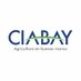 Ciabay S.A. (@ciabaysa) Twitter profile photo Ciabay S.A. (@ciabaysa) Twitter profile photo