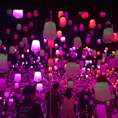 Elowenwenn's profile picture. 9年の暗号通貨の経験、8年の株式の経験（目標：3年以内に引退）