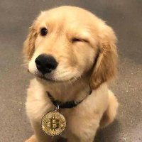 Irboz(🐉🇨🇳arc) (@irboz) 's Twitter Profile Photo Irboz(🐉🇨🇳arc) (@irboz) 's Twitter Profile Photo