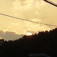 화념🍀 (@kanen_hs) 's Twitter Profile Photo 화념🍀 (@kanen_hs) 's Twitter Profile Photo