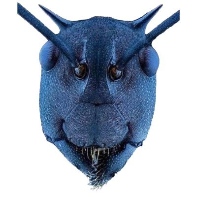 qaz20's profile picture. 