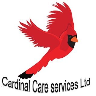Leeds Care agency 
Cardinal Care services strive to give you the best care and support that you deserve
Your Care In Our Hands