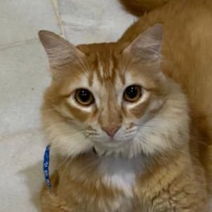 fatinnann's profile picture. What you seek, is seeking you.