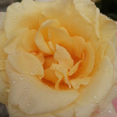 Sadekar06's profile picture. Çok düşün, sadece eğlenmene bakma