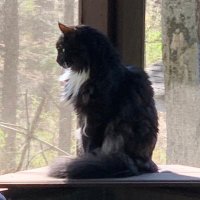 AtomicMassUnit (@goldamu) 's Twitter Profile
