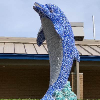 We are a PK-5 elementary school in the amazing Grapevine-Colleyville ISD. Our students, parents, and staff are the B.E.S.T!!! Follow our hashtag #DESisBEST