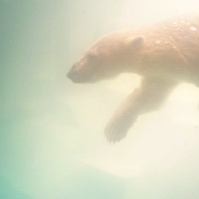 __uo__oa's profile picture. "何十億の中に運命の人が 1人なんて信じないわ"