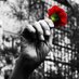 Maria José 🇵🇸 #MazónDimissió (@ramosverdes) Twitter profile photo Maria José 🇵🇸 #MazónDimissió (@ramosverdes) Twitter profile photo