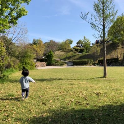 小豆島🌿➭愛媛🍊➭岡山🍑