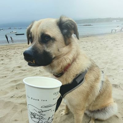 BaileyX80's profile picture. Bought the ticket, taking the ride.