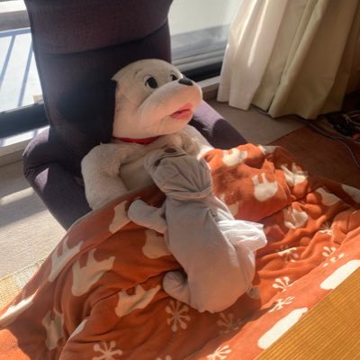 iknks_miha's profile picture. お笑いが好きで主婦でおばさんです。