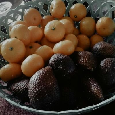 pesek1108's profile picture. 