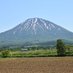 ニセコ・羊蹄山麓情報局(北海道新聞倶知安支局) (@niseko_news) Twitter profile photo ニセコ・羊蹄山麓情報局(北海道新聞倶知安支局) (@niseko_news) Twitter profile photo