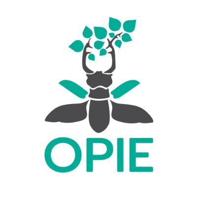 Opie insectesさんのプロフィール画像