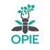 Opie insectes (@Opie_insectes) Twitter profile photo