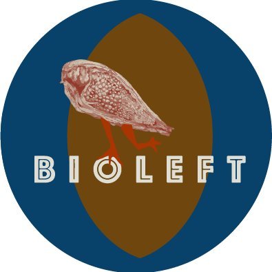 bioleft_tw Profile Picture