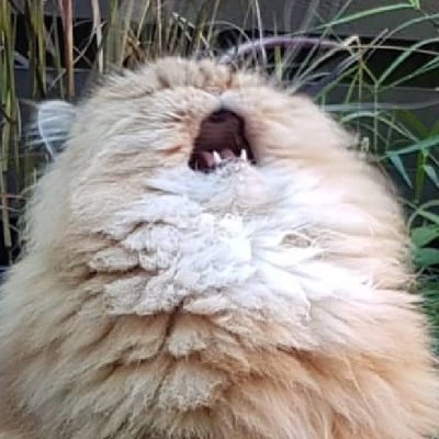 AliceHist's profile picture. Изучаю корейский, живу, люблю свой университет