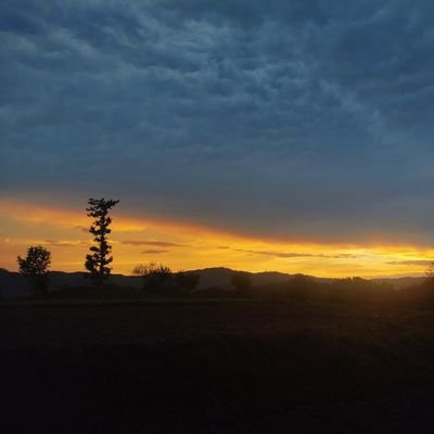 SCurl82's profile picture. a dark in glittering galaxies:
Physics..