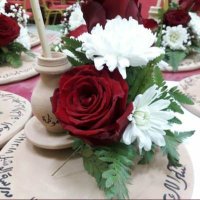 #سِـلَيمًآنِ عٌدٍنِآنِ آلَبًوٌسِـعٌيدٍي (@najmsulim250) 's Twitter Profile