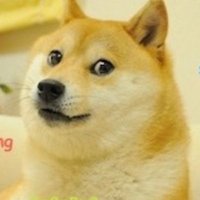 HODL BTFD (@sociademoc) 's Twitter Profile