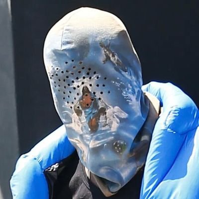 justzeemane's profile picture. Been through so much in https://t.co/4CtAQEnT9G to laugh and crack jokes and of course to retweet fire tweets.