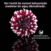 Alperen Ertürk (@alperen68948279) Twitter profile photo