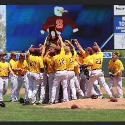 Salisbury Baseball Profile