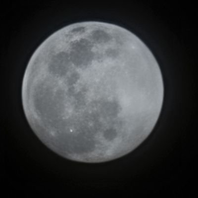 DavidHandler31's profile picture. American without Remorse