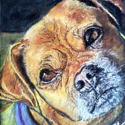 Jan of Janabeancreations is a Trinidadian-Canadian pastel pet portrait artist based in London ON Canada.