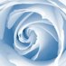Dr Allison Moore (@allison66746425) Twitter profile photo Dr Allison Moore (@allison66746425) Twitter profile photo
