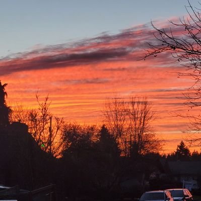 stonedragon77's profile picture. I am a person.