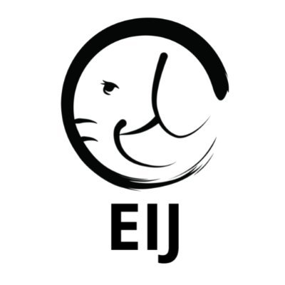 japanelephants Profile Picture