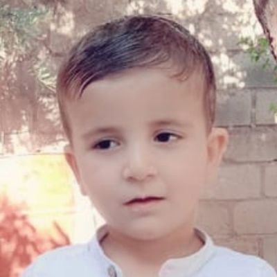 AlkurdiLukman's profile picture. 