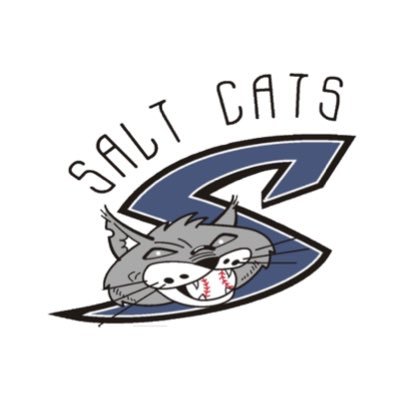SyrSaltCats's profile picture. OFFICIAL Twitter of the Syracuse Salt Cats Baseball Club. Member of the @NYCBLbaseball since 2010. #RollCats😼 2024 NYCBL Champions