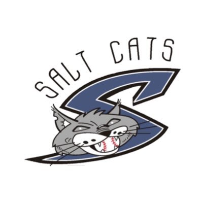 OFFICIAL Twitter of the Syracuse Salt Cats Baseball Club. Member of the @NYCBLbaseball since 2010. #RollCats😼