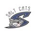 Syracuse Salt Cats (@SyrSaltCats) Twitter profile photo