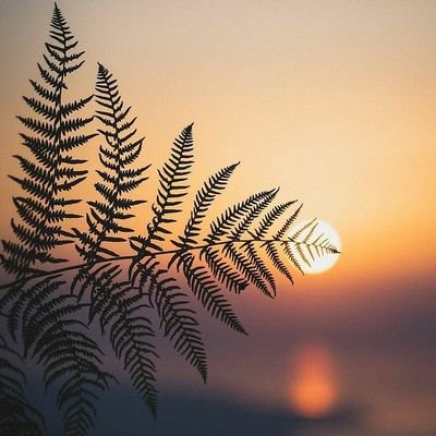 Annette56589865's profile picture. Chelsea💙