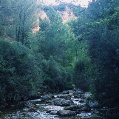 99_anabelen's profile picture. 