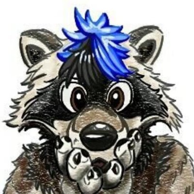 tealeafraccoon Profile Picture