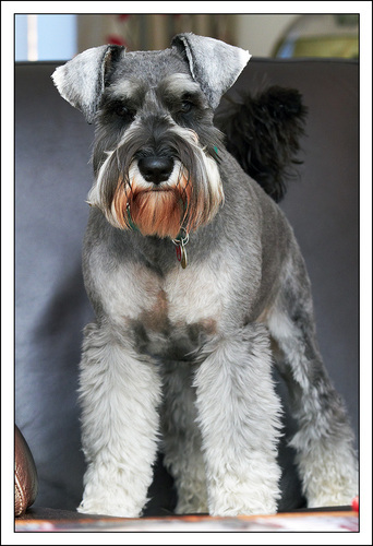 srhphoto's profile picture. 