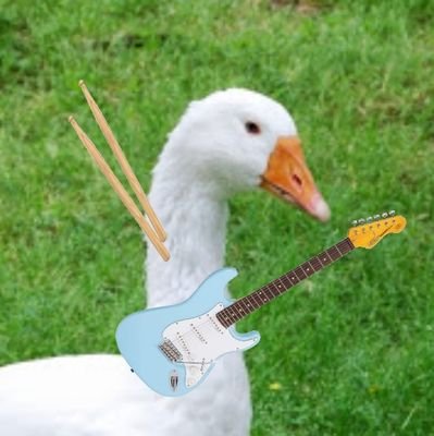 porchgeeseband's profile picture. emo/folk music
(most band members are not real geese)

I Wish I Had a Dog - out on all streaming services Dec 23rd